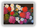 The Flower Garden 18x36 $1625

